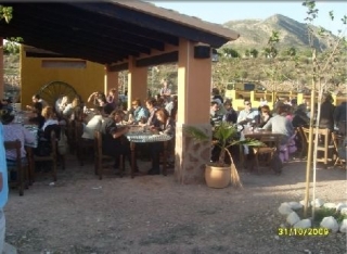 Organizacion de comida en nuestra finca